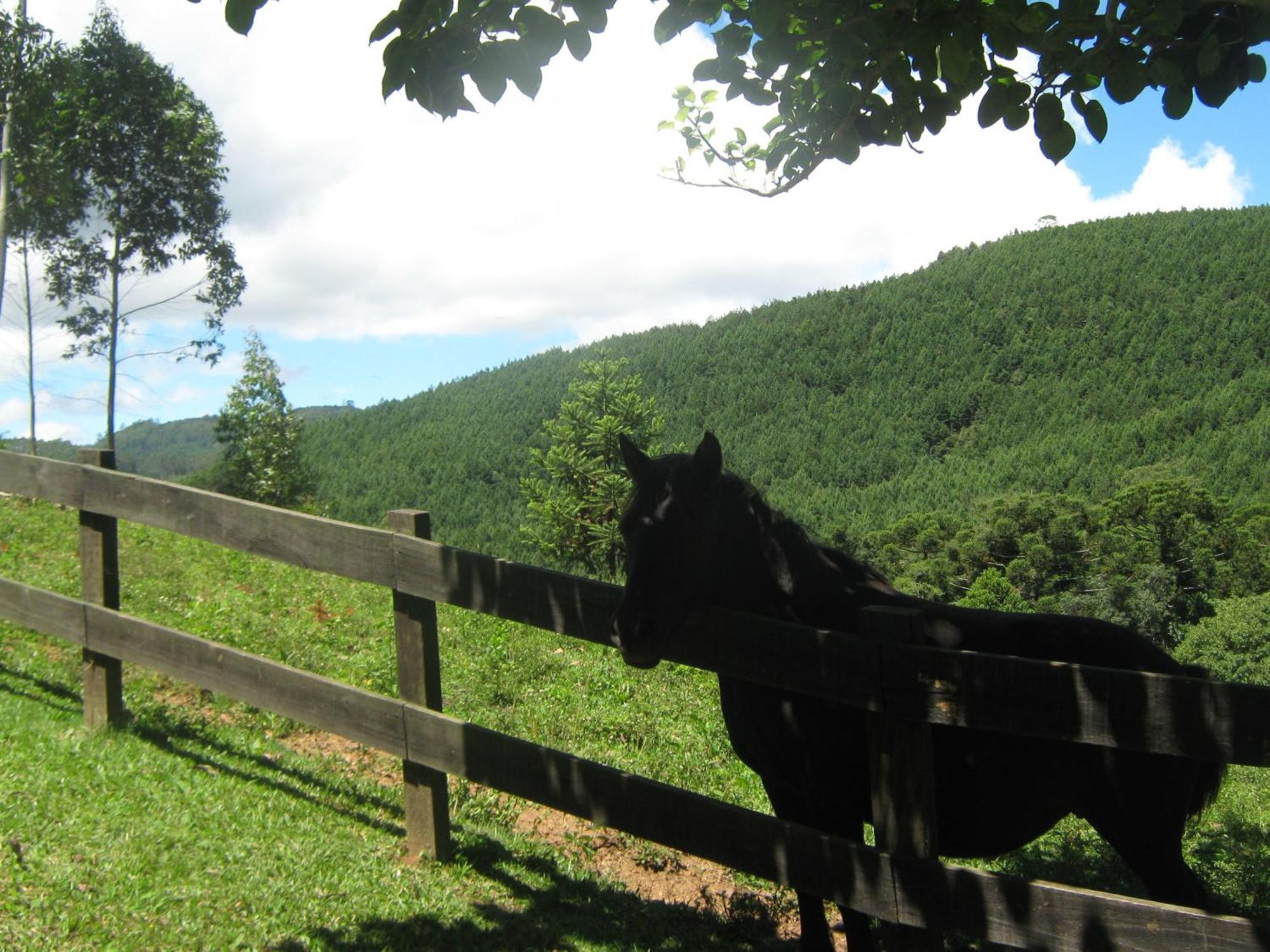 Vila Caminho Do Sol Monte Verde  Exteriér fotografie