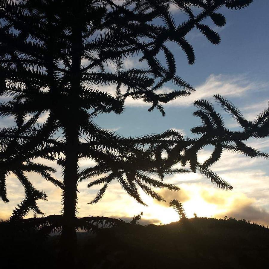 Vila Caminho Do Sol Monte Verde  Exteriér fotografie